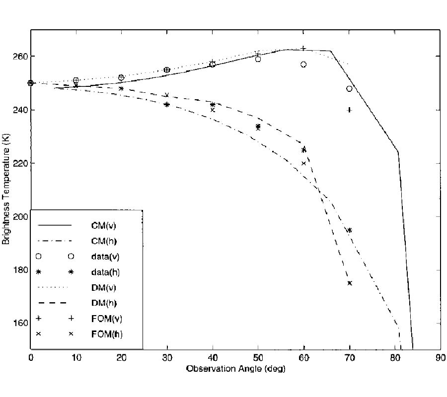 APPLICATION OF STRONG FLUCTUATION THEORY TO MICROWAVE EMISSION FROM DRY SNOW