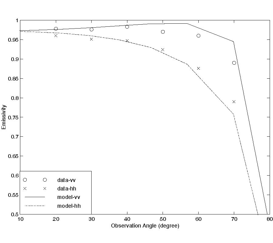MICROWAVE EMISSION MODEL FOR WET SNOW BY USING RADIATIVE TRANSFER AND STRONG FLUCTUATION THEORY