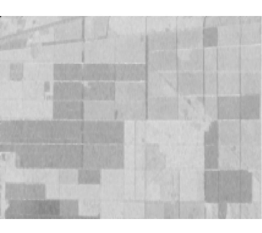 DUAL FREQUENCY POLARIMETRIC SAR DATA CLASSIFICATION AND ANALYSIS