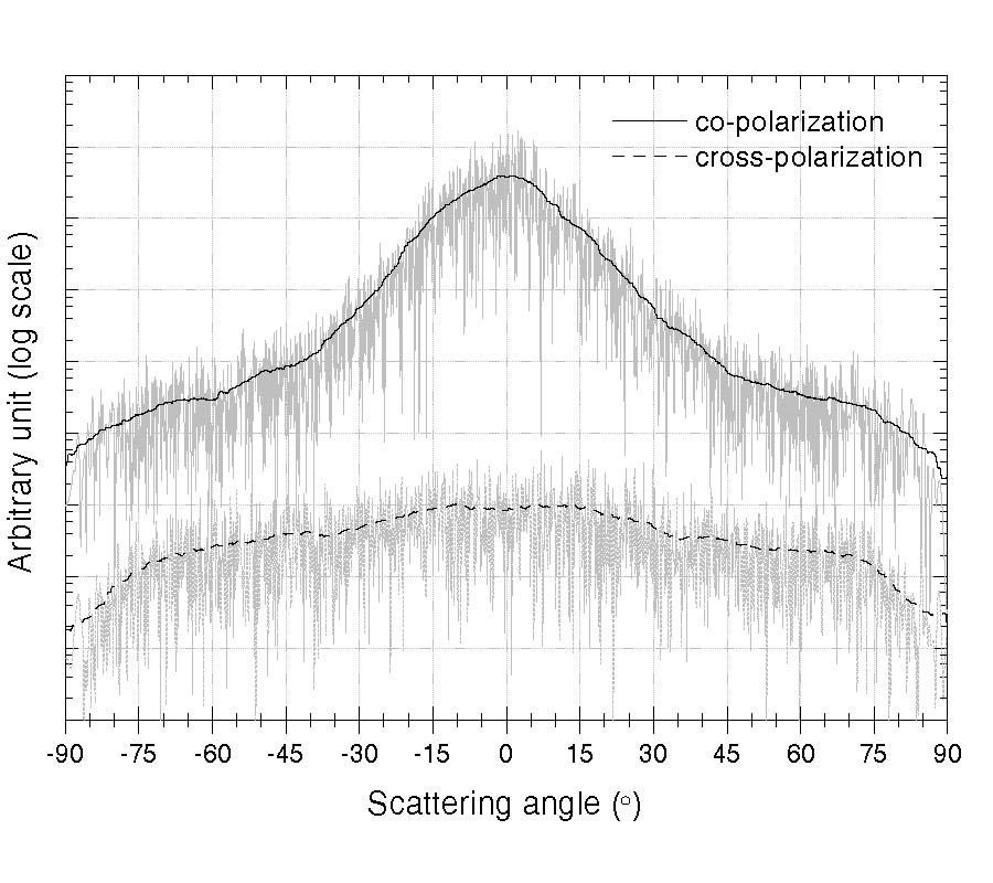 MODELIZATION OF THE SCATTERING OF ELECTROMAGNETIC WAVES FROM THE OCEAN SURFACE