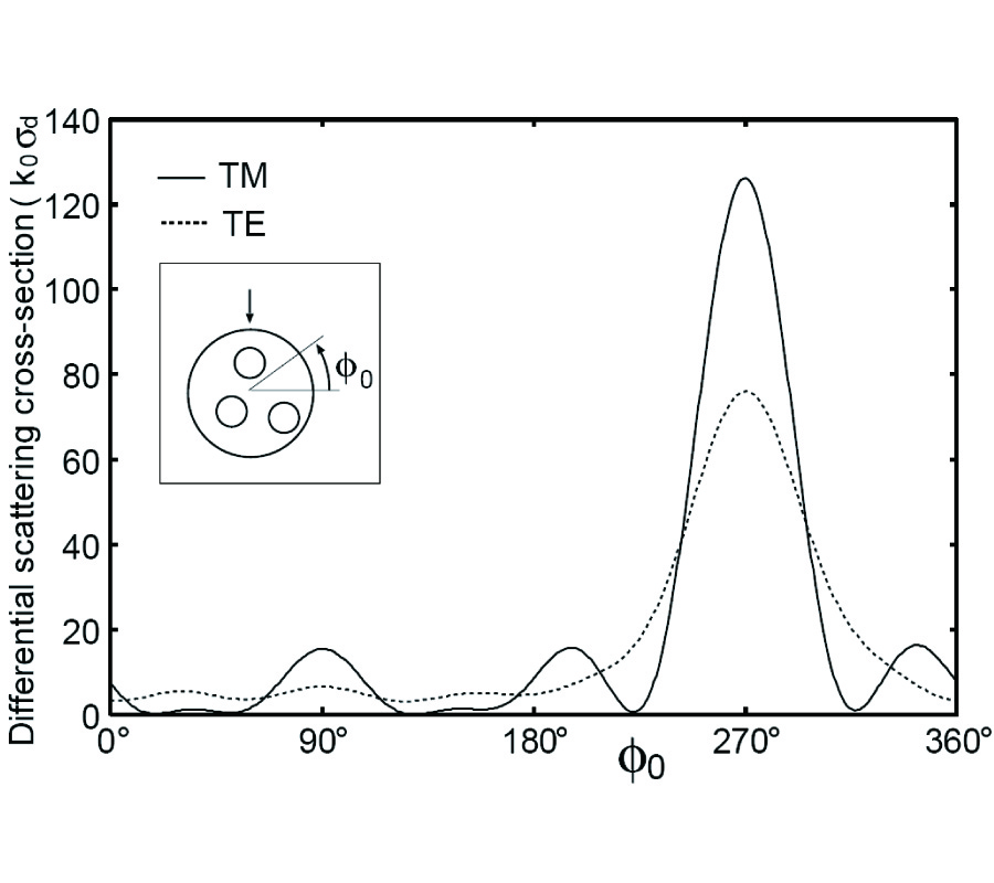 ELECTROMAGNETIC SCATTERING FROM A DIELECTRIC CYLINDER WITH MULTIPLE ECCENTRIC CYLINDRICAL INCLUSIONS