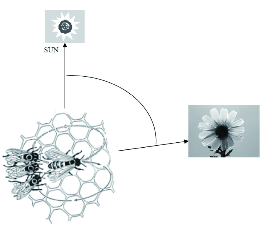 AMPLITUDE-ONLY PATTERN NULLING OF LINEAR ANTENNA ARRAYS WITH THE USE OF BEES ALGORITHM