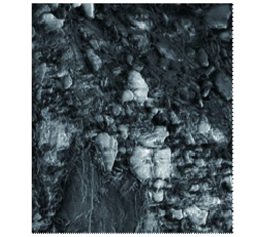 CHITOSAN SPHEROIDS WITH MICROWAVE MODULATED DRUG RELEASE