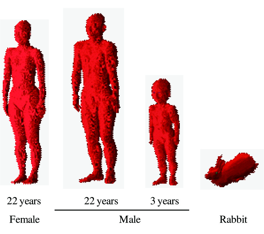 ESTIMATION OF CORE TEMPERATURE ELEVATION IN HUMANS AND ANIMALS FOR WHOLE-BODY AVERAGED SAR