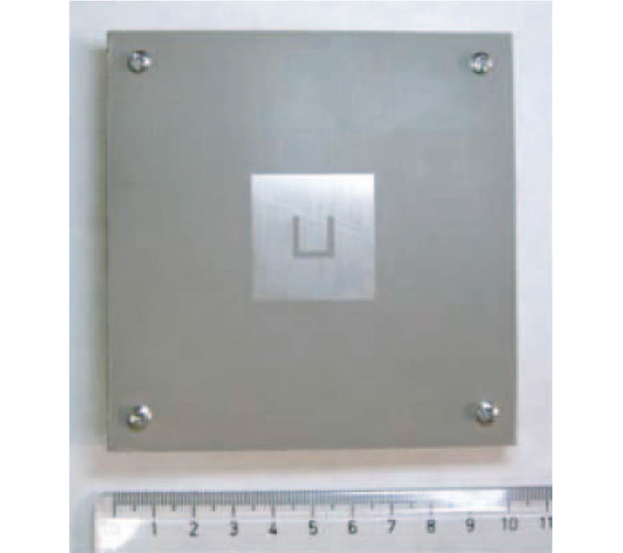 A NEW DUAL-BAND MICROSTRIP ANTENNA WITH U-SHAPED SLOT