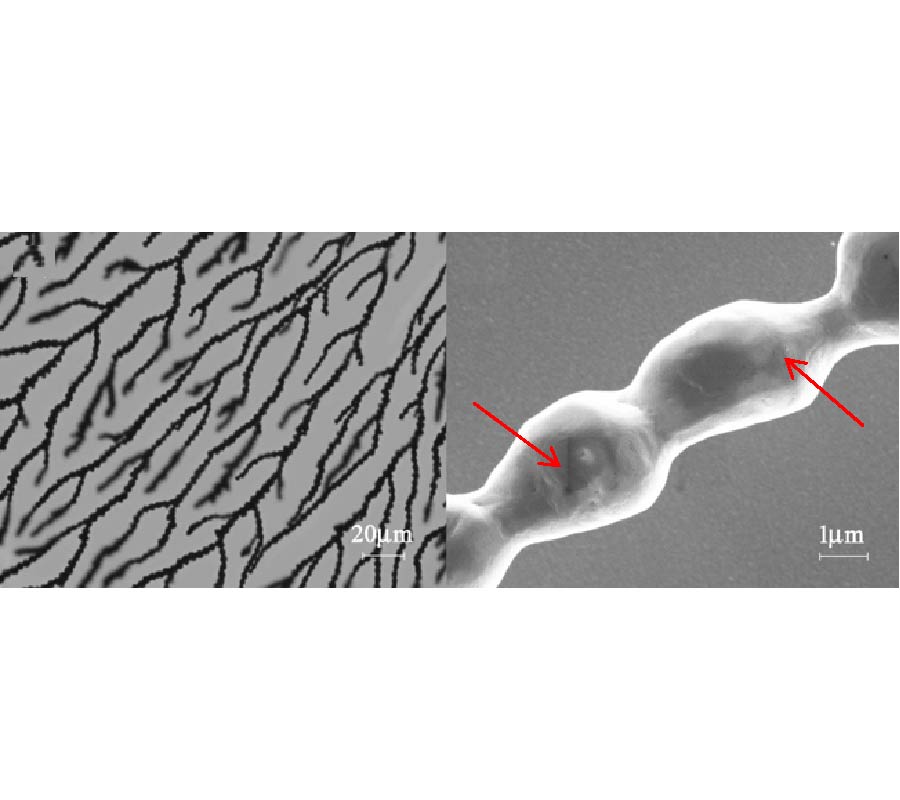 PROPAGATION ALONG SINGLE-CRYSTALLINE SILVER FILAMENTS WITH PEARL-CHAIN-LIKE STRUCTURES