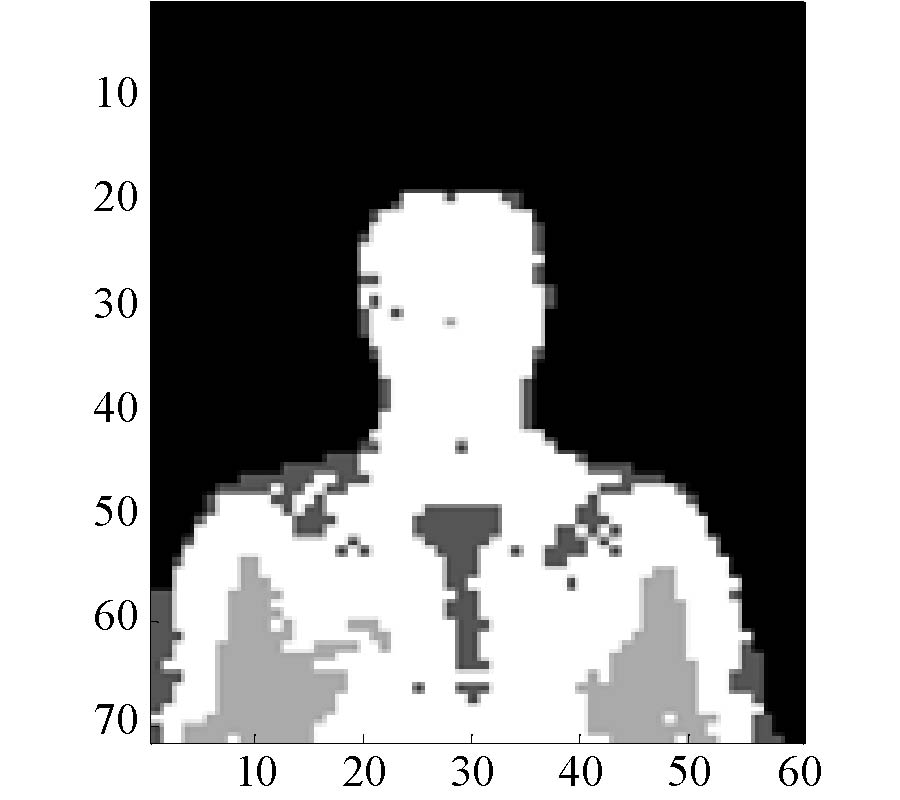 VECTOR CLUSTERING OF PASSIVE MILLIMETER WAVE IMAGES WITH LINEAR POLARIZATION FOR CONCEALED OBJECT DETECTION