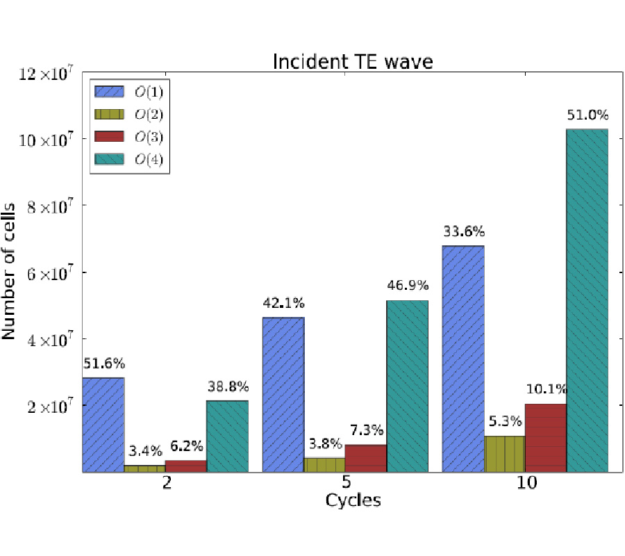 A p-VARIABLE HIGHER-ORDER FINITE VOLUME TIME DOMAIN METHOD FOR ELECTROMAGNETIC SCATTERING