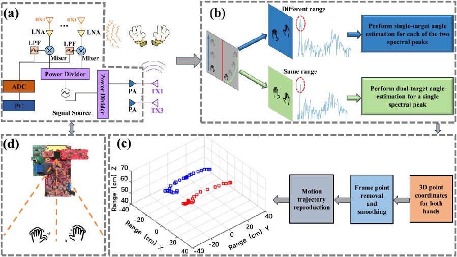 Wireless Dual-hand Motion Perception Based on Millimeter-wave FMCW MIMO Radar