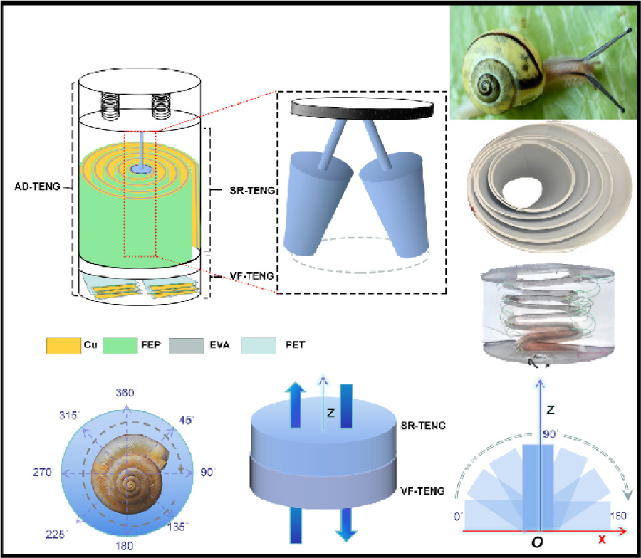 Snail-like Golden Spiral Triboelectric Nanogenerator for All-directional Wave Energy Harvesting