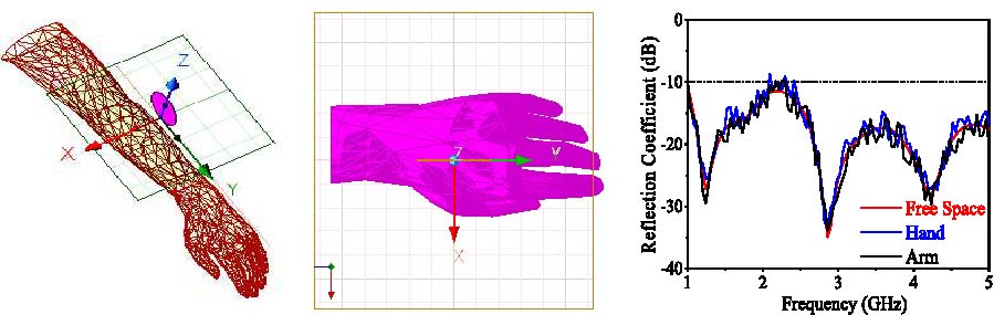 Machine Learning Assisted Monopole Antenna Optimization Using EONNC and SFIS Algorithm for Wearable Applications