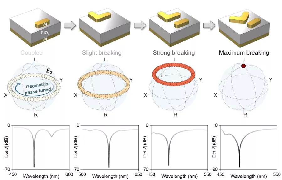 Polarization-Addressable Singular Jones Metasurfaces
