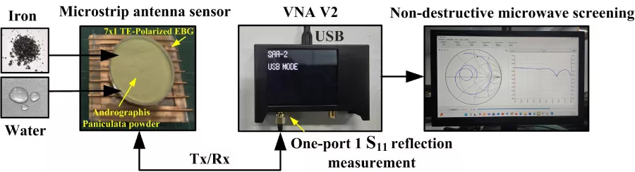 EBG-Integrated Microstrip Antenna Sensor for Moisture and Iron Screening in Andrographis Paniculata Powder