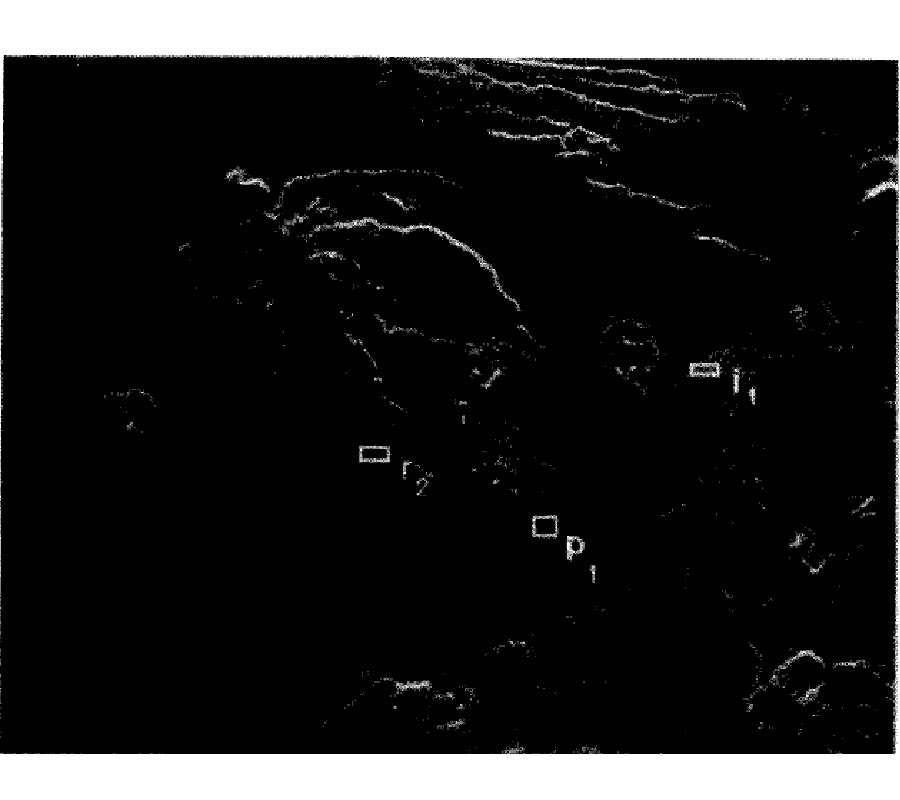Polarimetric Imaging Radar: Analysis Tools and Applications