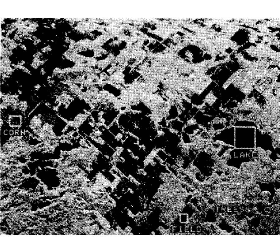 Classification of Earth Terrain Using Polarimetric Synthetic Aperture Radar Images
