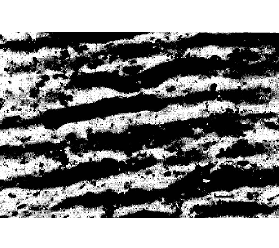 AC Electrical Properties of Insulator-Conductor Composites