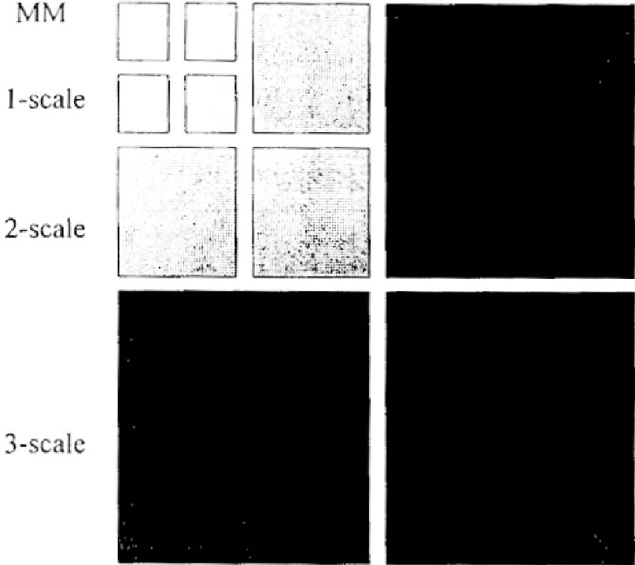 Analysis of Scattering from Perfectly 
Conducting Plates by the Use of AMMM