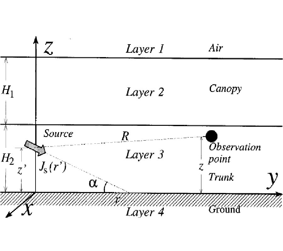 Analysis of Electromagnetic Wave Propagation in Forest Environment Along Multiple Paths